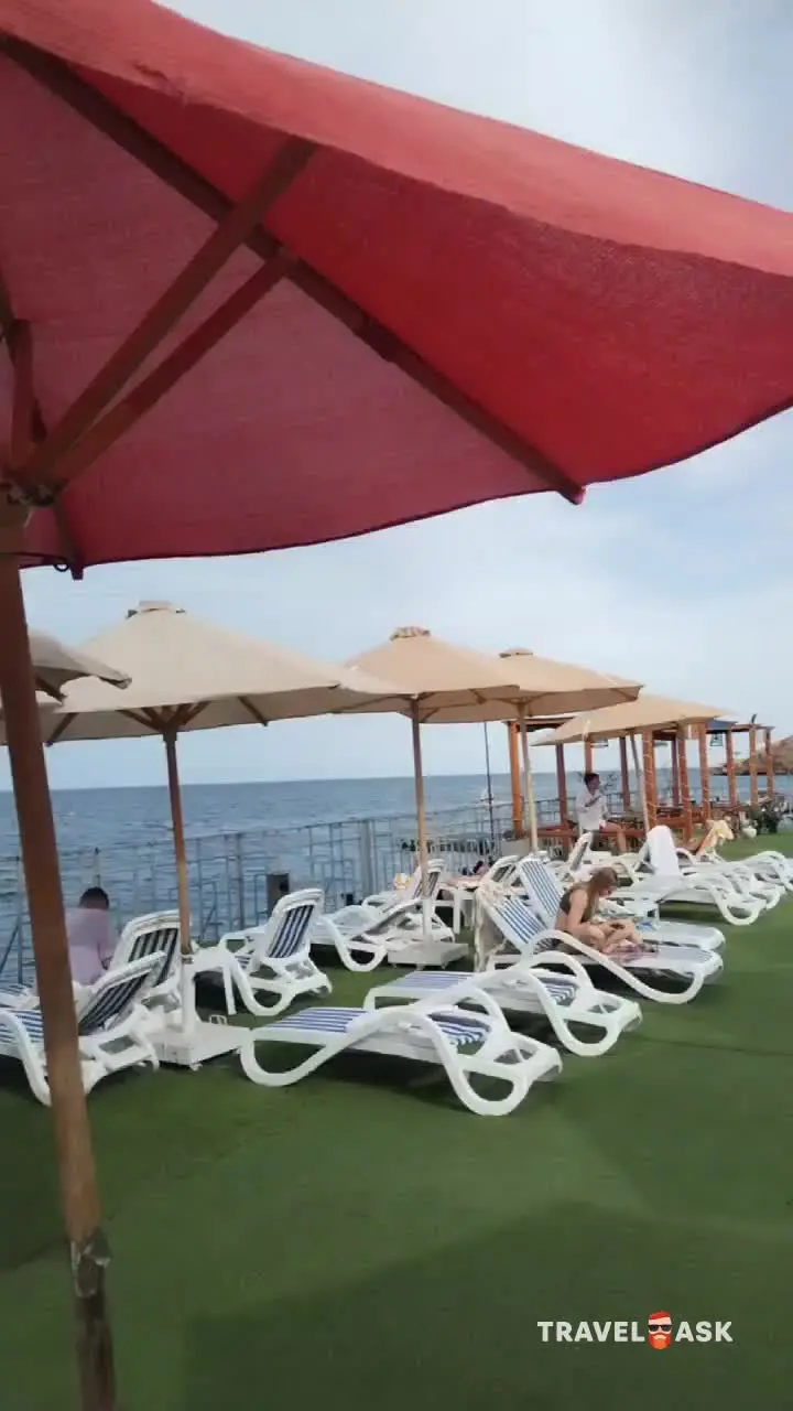 video__preview