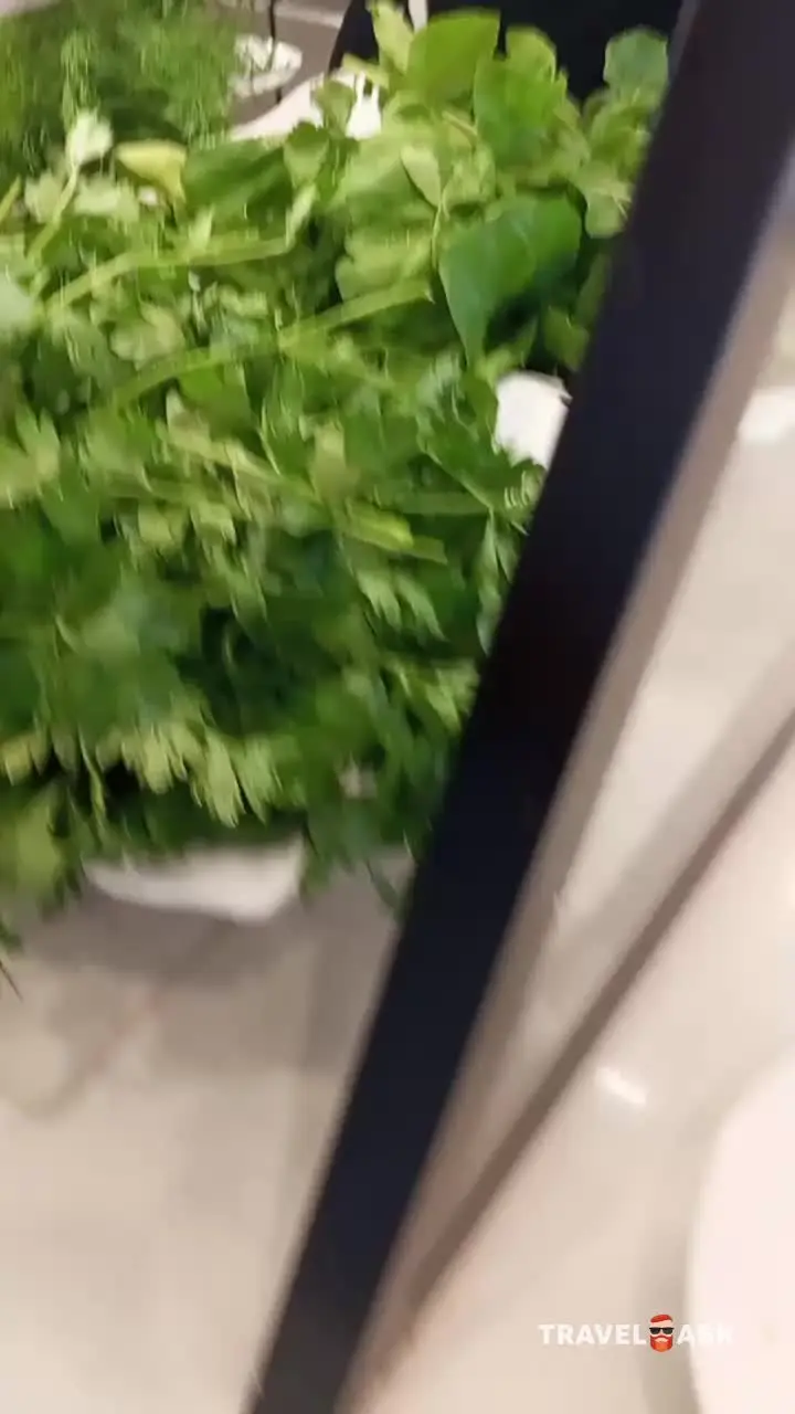 video__preview