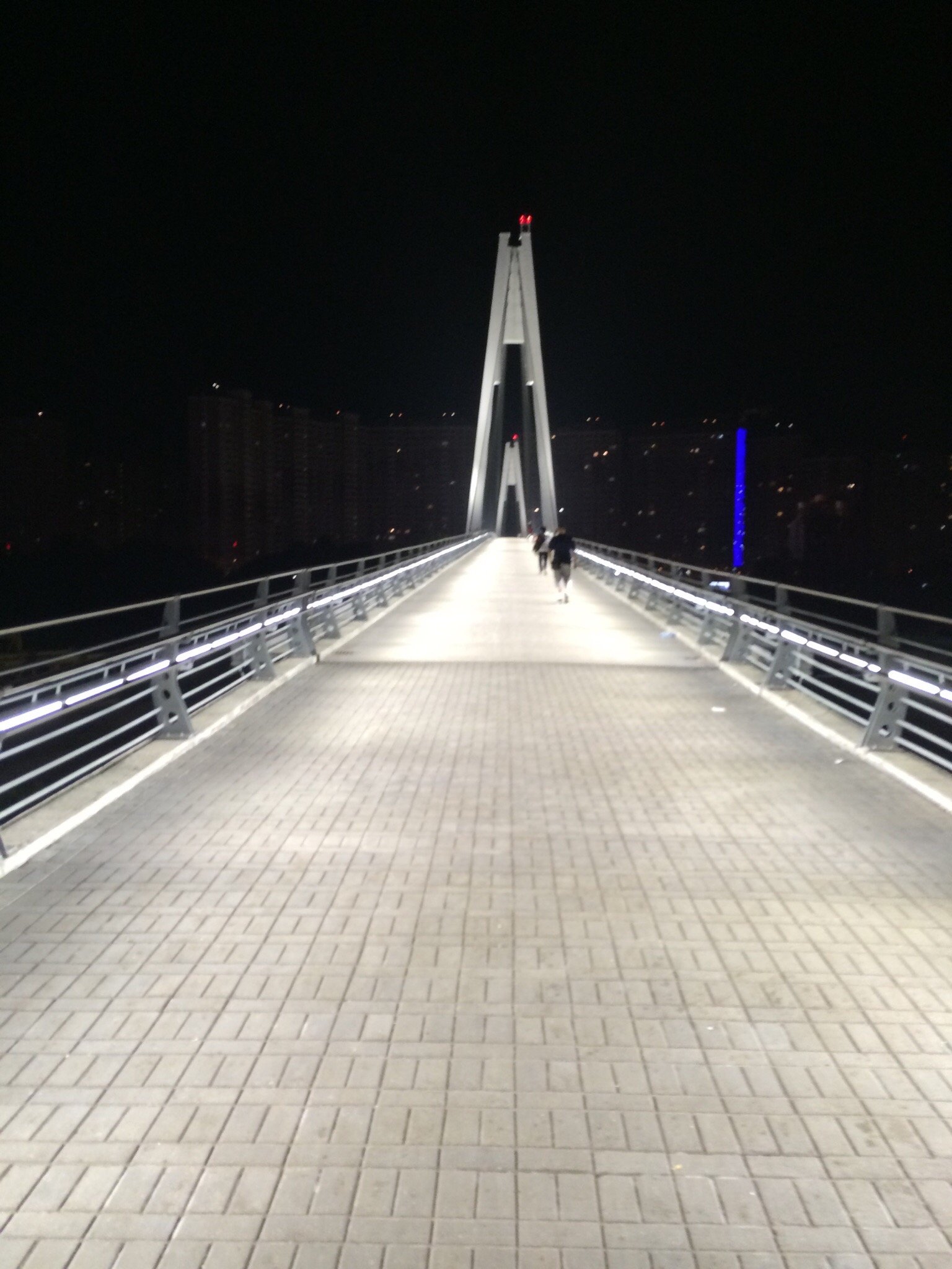 Павшинский пешеходный мост. Мост павшинская пойма красногорск. Вегас мякинино мост. Мост мякинино павшинская пойма. Павшинский мост москва пешеходный.