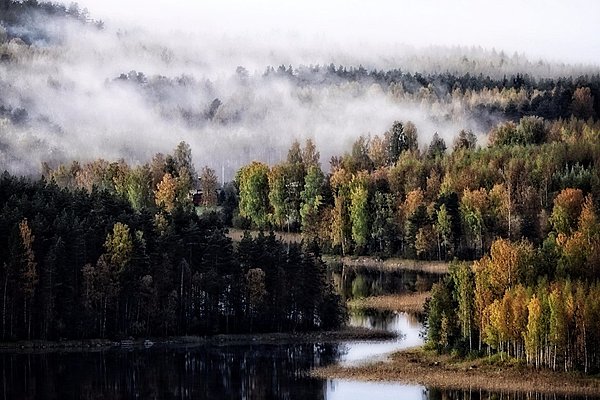 Финляндия Фото Природы