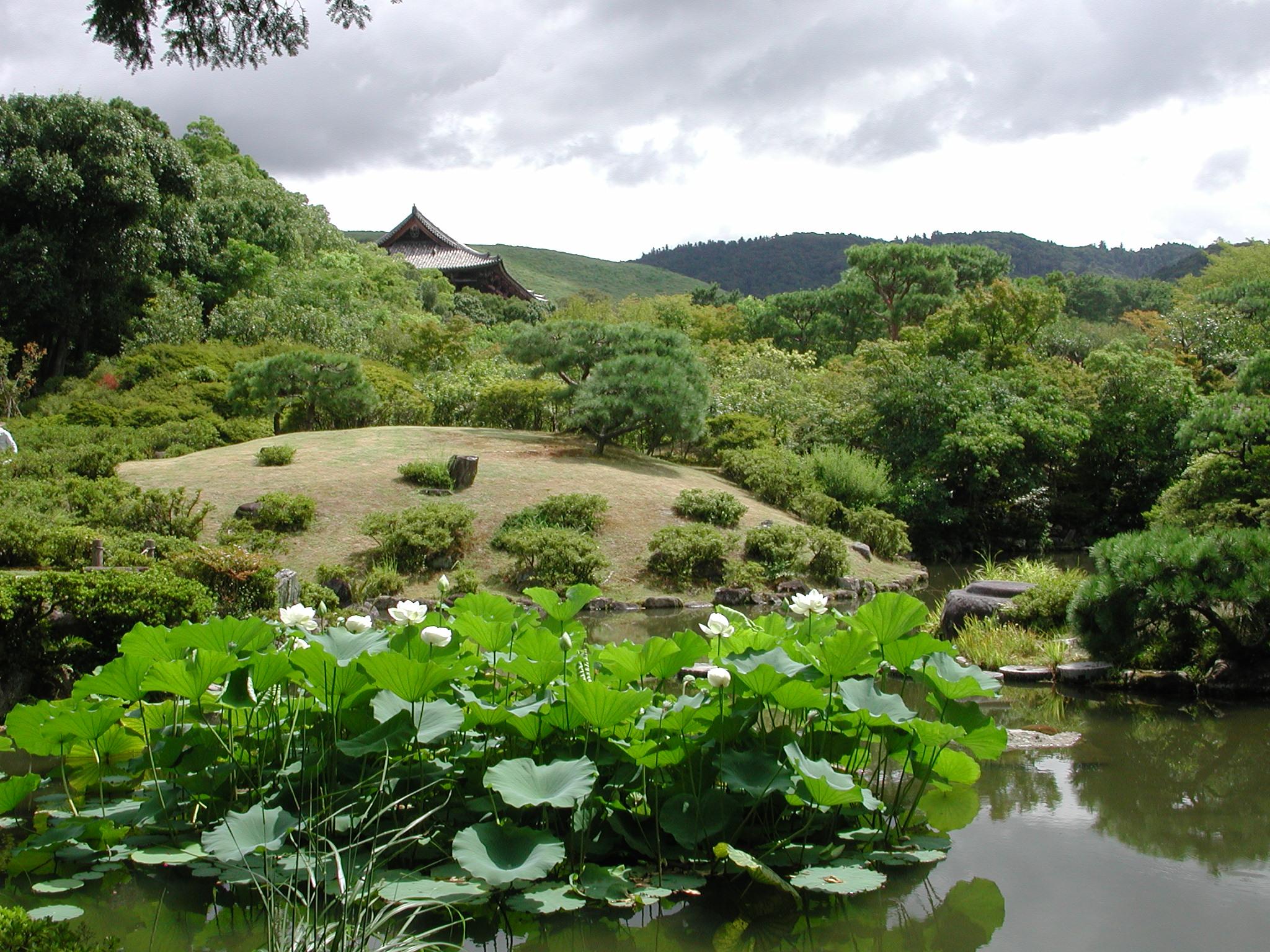 Японский сад Isuien (Исуйэн)