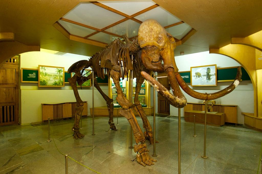 Житомирский музей природы