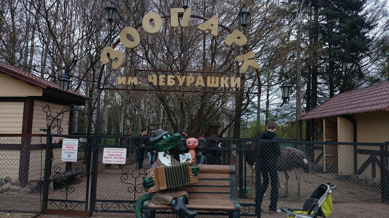 Зоопарк на крестовском. Зоопарк имени чебурашки на крестовском острове. Зоопарк на крестовском. Мини зоопарк на крестовском острове. Зоопарк на крестовском острове в санкт-петербурге.