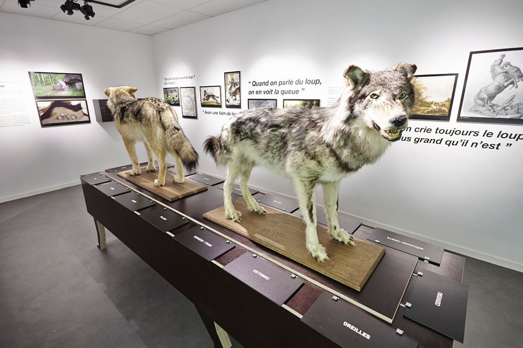 Музей волка