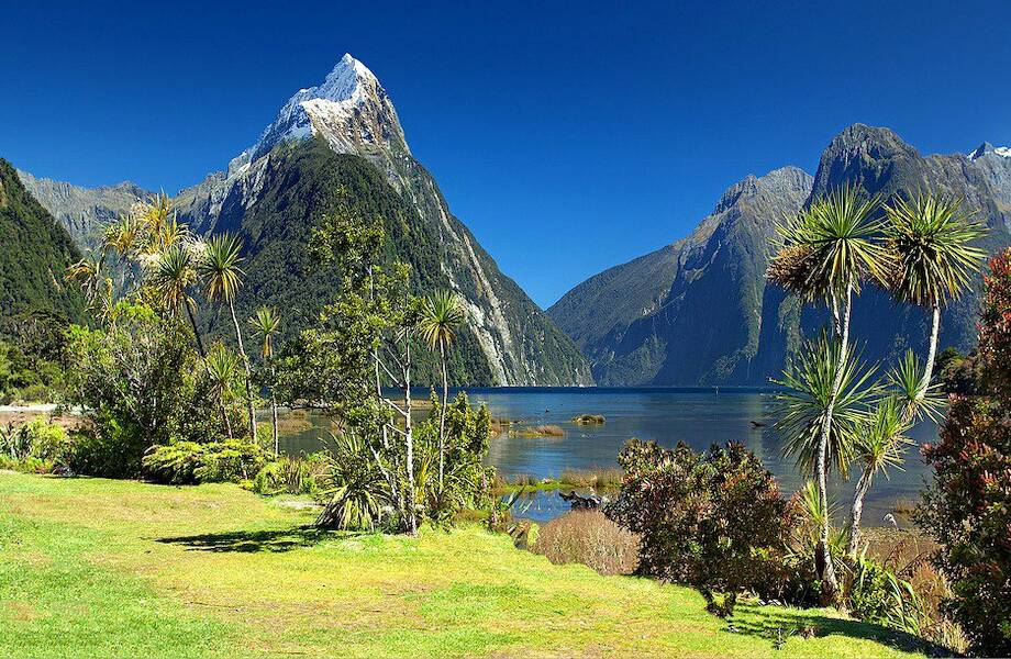 Новая Зеландия сняла все ограничения на въезд