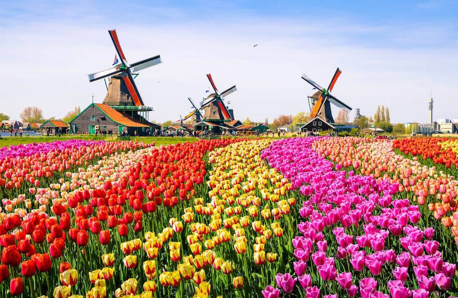 Нидерланды отменили ограничения на въезд
