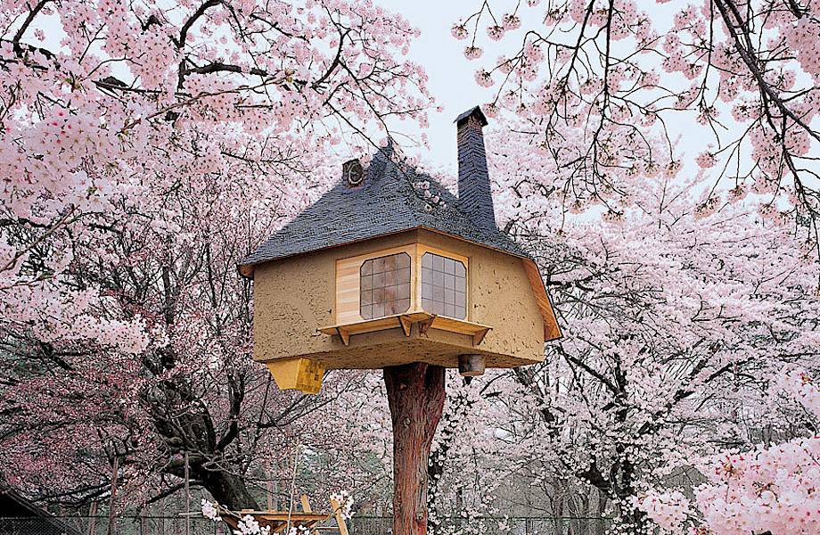 ​17 изумительных домиков на дереве со всех уголков мира
