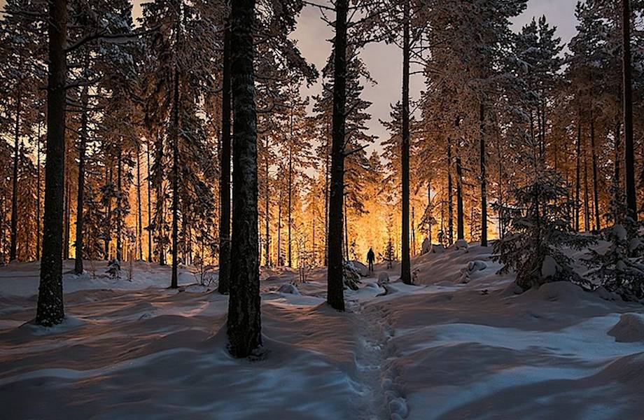 Мистическое сияние в финском лесу