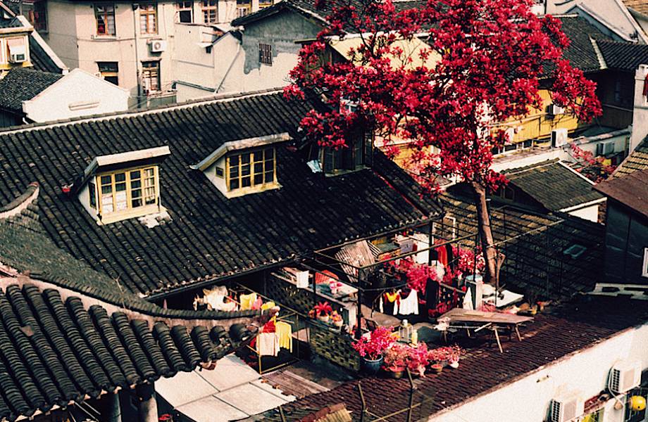 ​На что похожи озелененные крыши Китая?