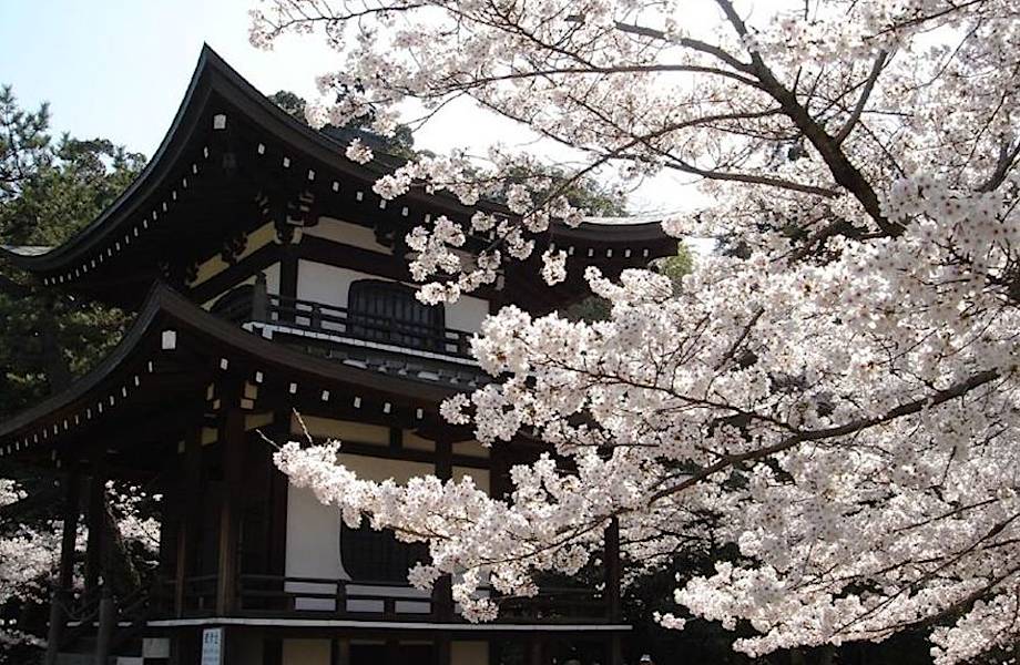 31 неизвестный японский сад умопомрачительной красоты. Часть 1