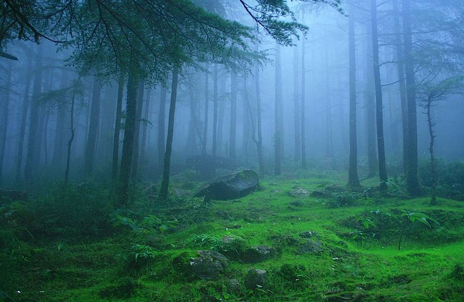 28 фантастических туманных пейзажей со всего мира (часть 1)
