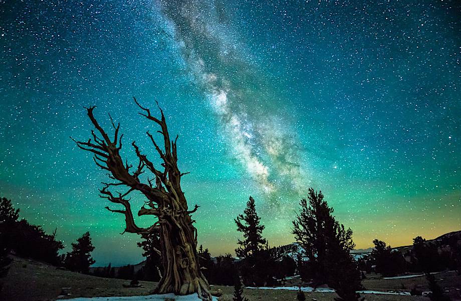 22 снимка великолепного ночного неба из разных уголков мира