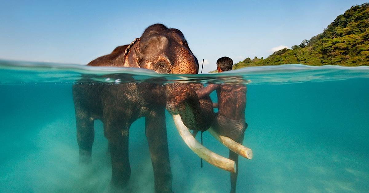 Weekly inspiration - 17 of the best Split Second photos from the Sony World Phot
