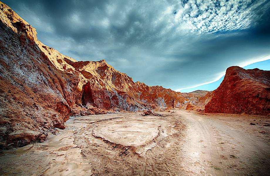 Необыкновенные фото самой сухой пустыни на Земле
