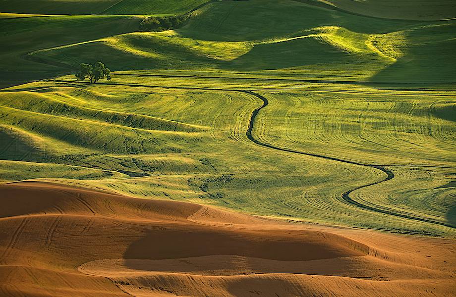 Живописные дюны Пэлус – место идеального сочетания красок самых восхитительных цветов