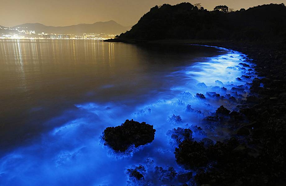 Фантастическое сияние биолюминесцентного планктона в водах у берегов Гонконга