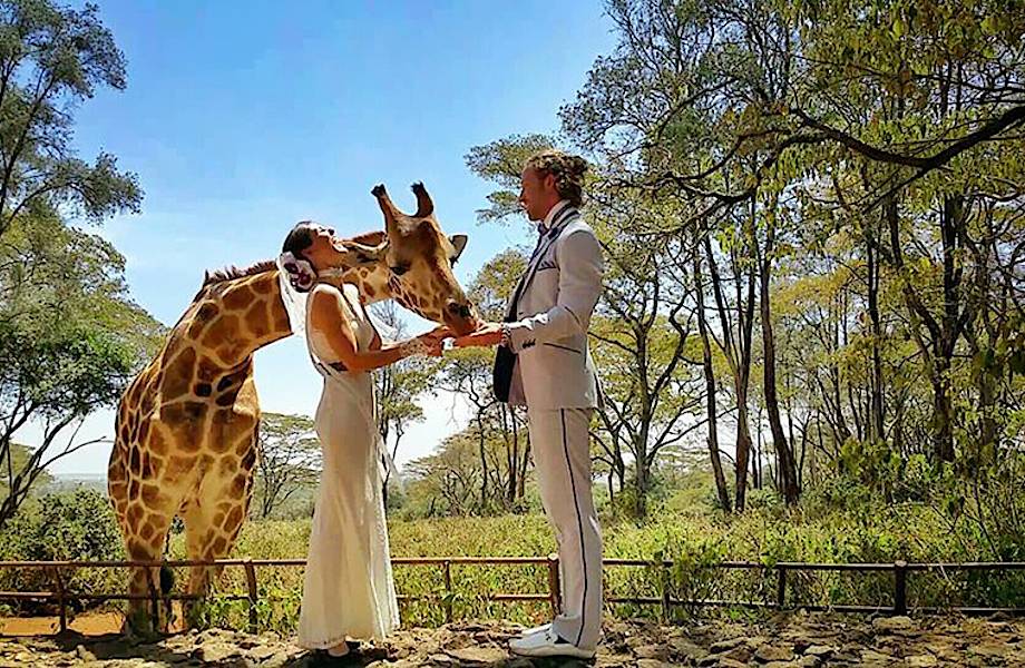 Пара акробатов поженится в 38 уголках мира за 83 дня