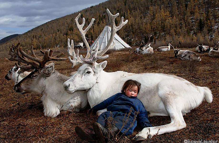 Уникальные снимки повседневной жизни племени оленеводов, проживающего в Монголии