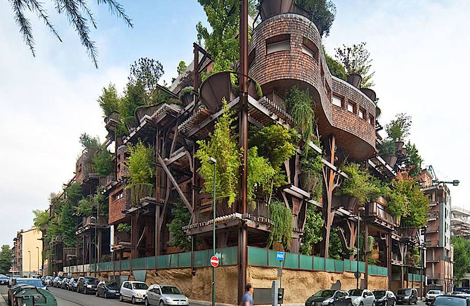 Уникальный городской "дом на дереве" защищает своих жильцов от шума и загрязнений