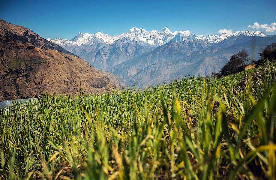 Видео — незабываемые впечатления от экспедиции в Непал 