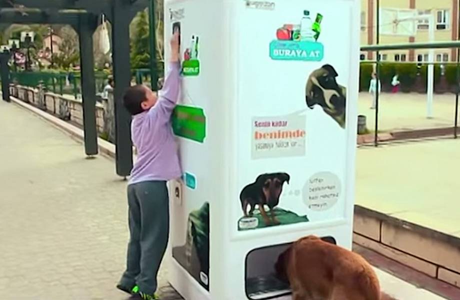 Этот чудо-автомат для бездомных животных в Стамбуле спасает им жизнь!