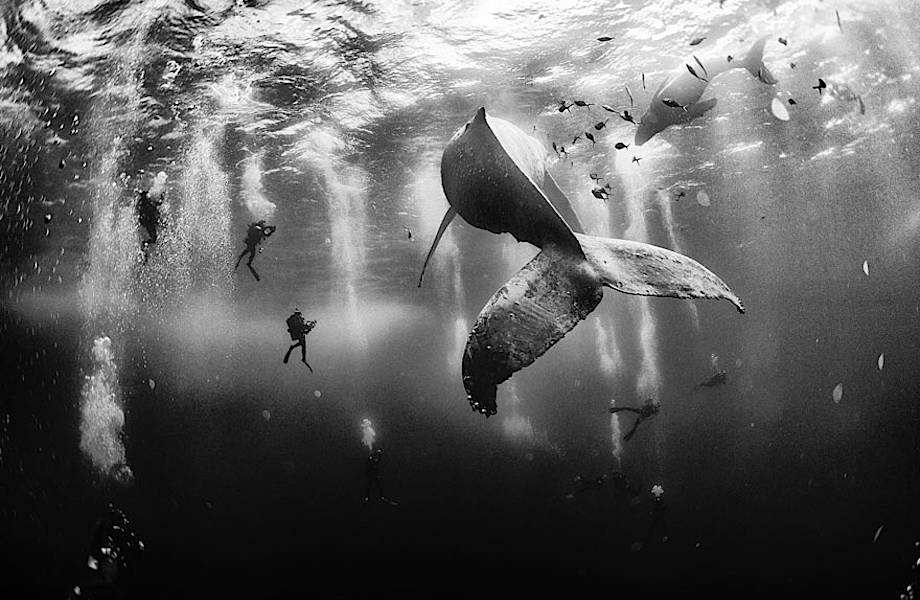 Феноменальные снимки победителей фотоконкурса National Geographic Traveler 2015