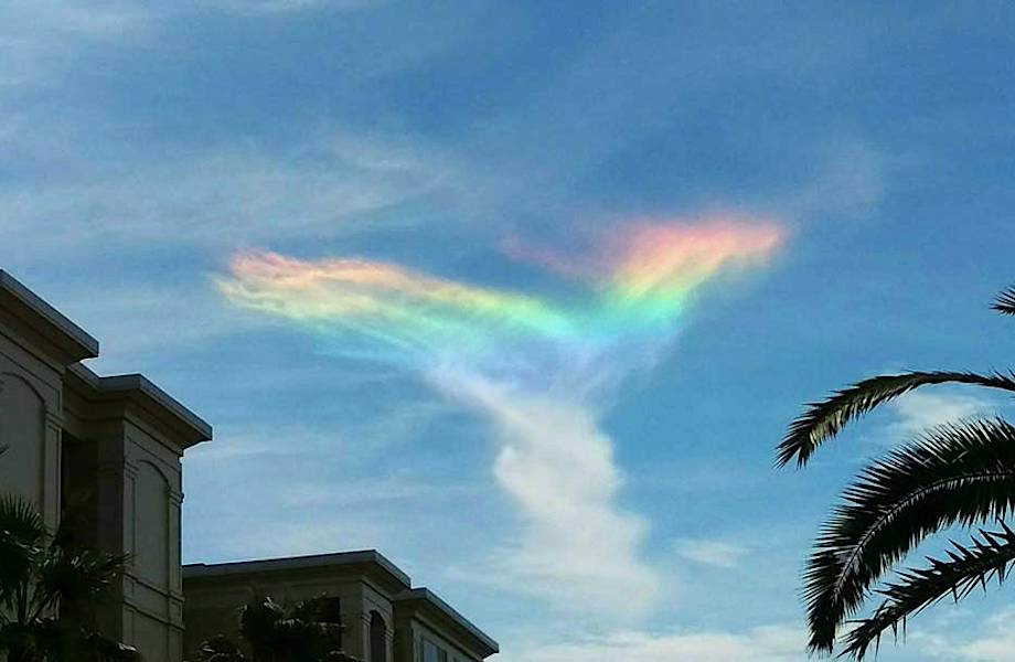 Выйдя на улицу, жители Южной Каролины увидели в небе это редчайшее явление!