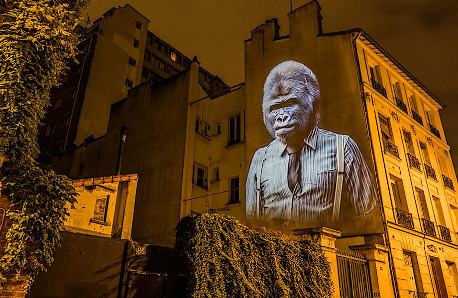Cтильные животные украсили здания в Париже