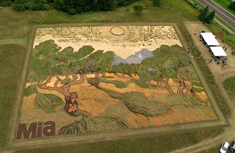 Ты не поверишь, когда узнаешь, из чего сделана эта картина Ван Гога «Оливковые деревья»