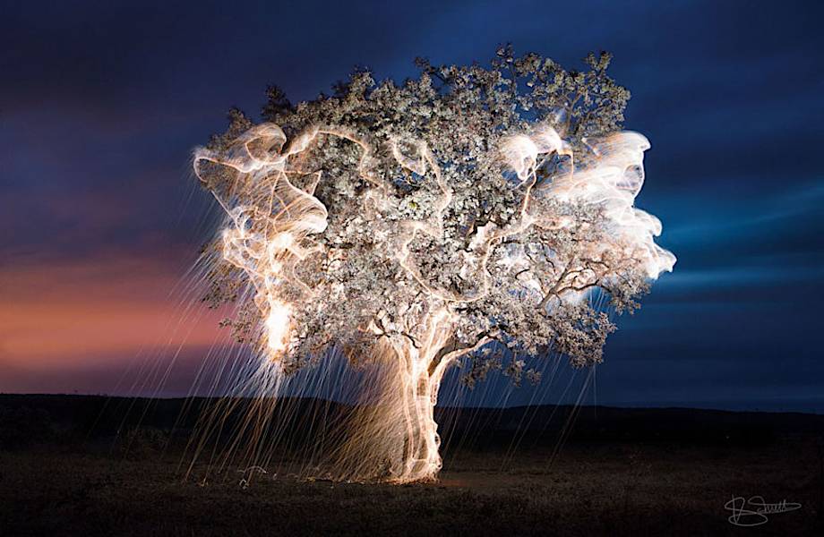 На этих потрясающих снимках Витора Шиетти свет стекает с деревьев!