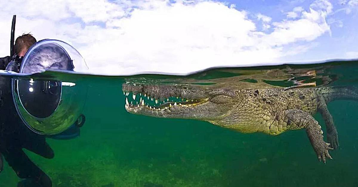 самые безжалостные