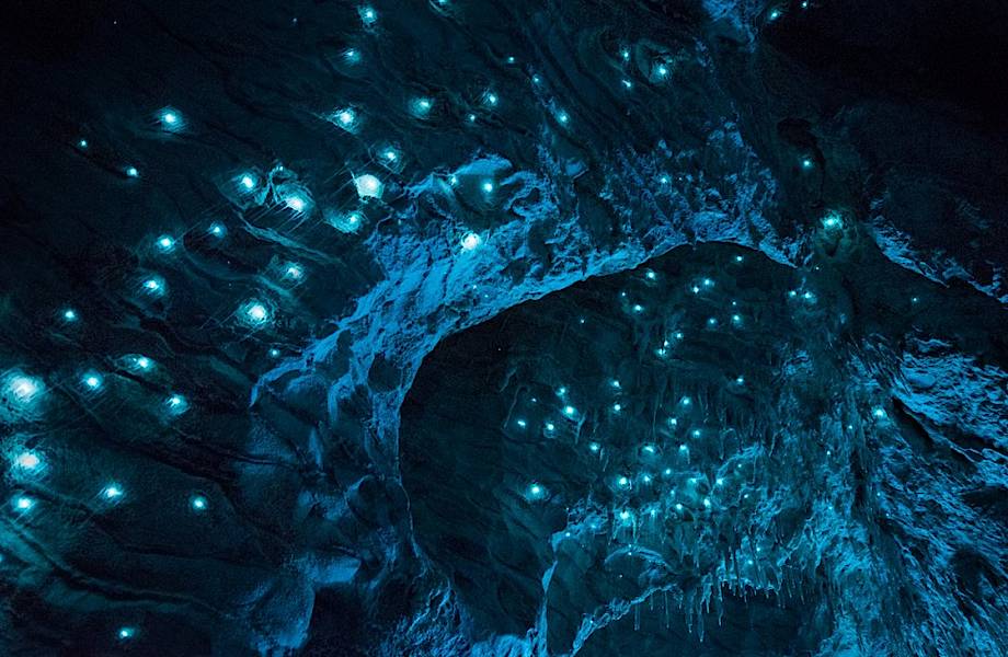 Это не фотошоп и не картинка из сказки, а самая настоящая пещера в Новой Зеландии!