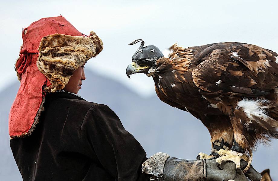 Фестиваль «Золотой орел» в Монголии. Просто дух захватывает!