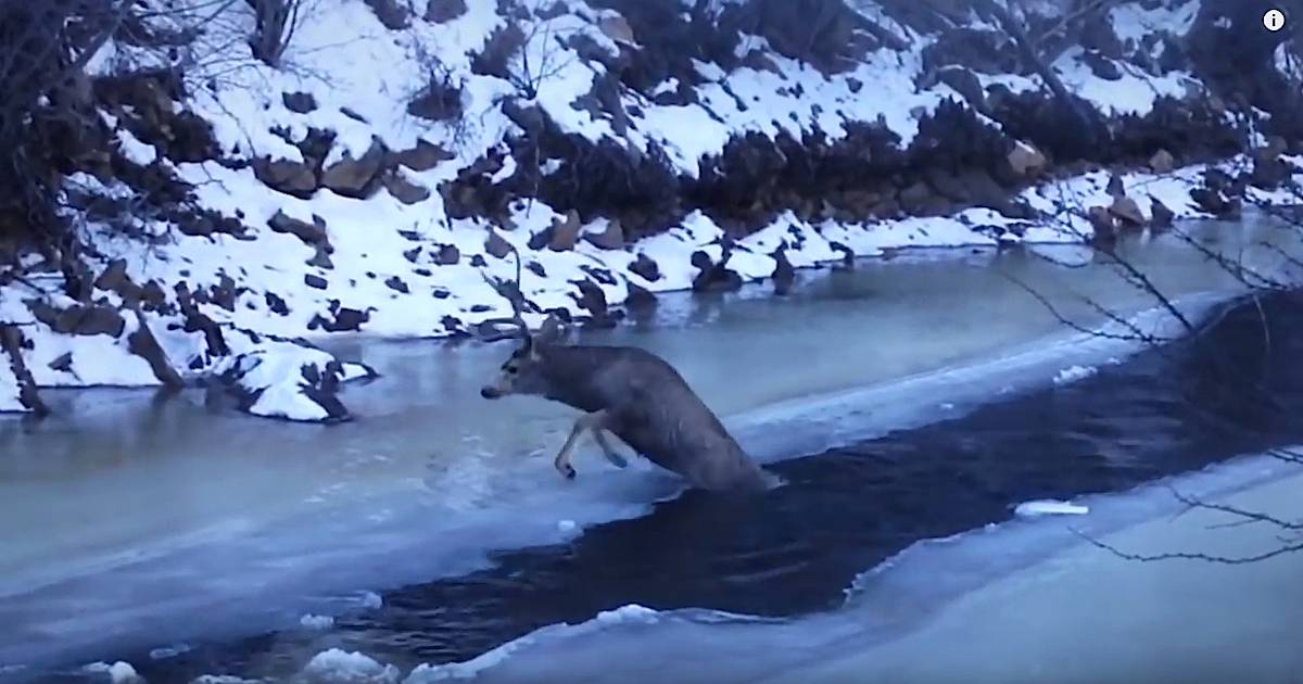 Человек провалился под лед. Мужик провалился под лед. Человек провалился под лед. Человек паровалися под лёд. Тонкий лед.
