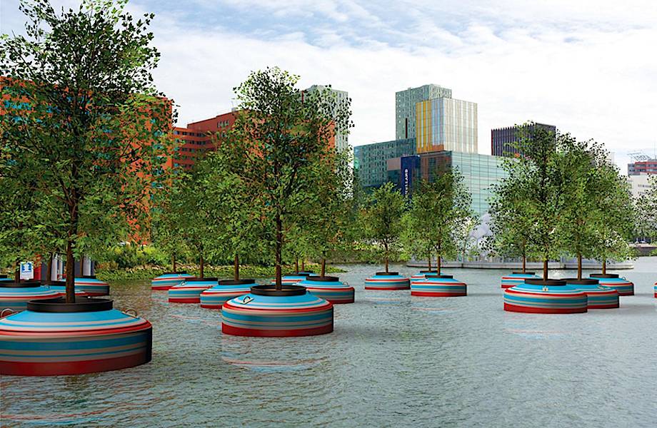 Плавающий лес в Роттердаме — это фантастика, которую претворяют в жизнь