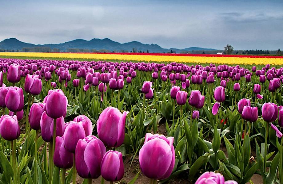 15 мест на планете Земля, которые невозможно прекрасны весной 