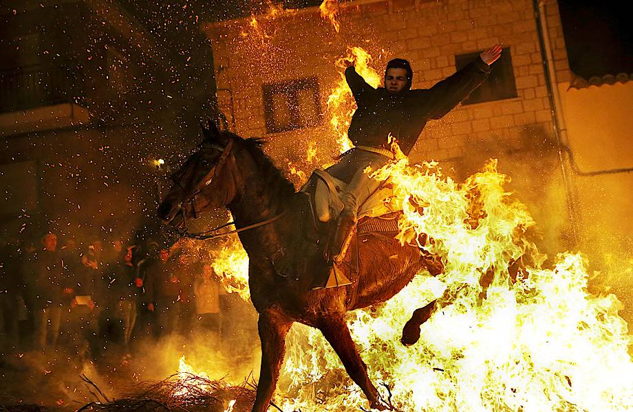 Огонь и лошади: День святого Антонио — один из самых зрелищных праздников в Испании