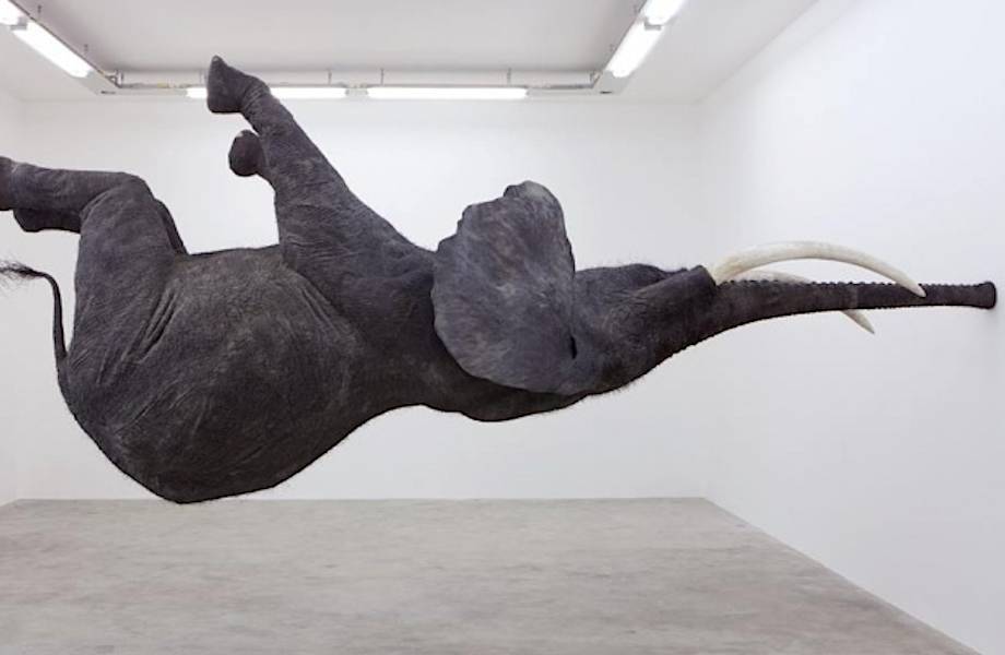 20 поражающих воображение скульптур, зависших в воздухе