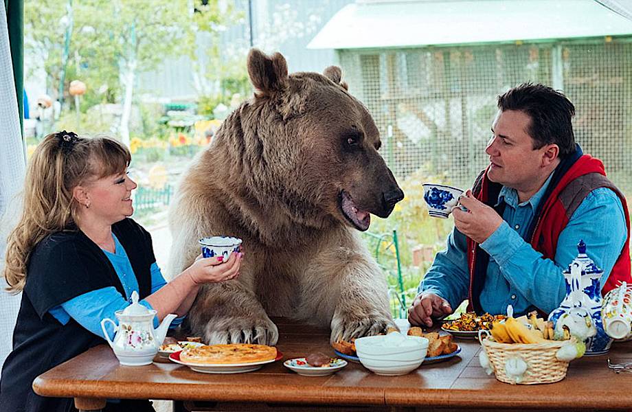 Эта русская пара уже 23 года живет с медведем под одной крышей!