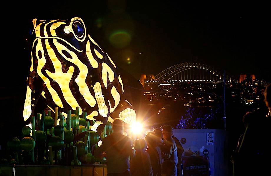 8 завораживающих снимков с фестиваля световых скульптур в Сиднее
