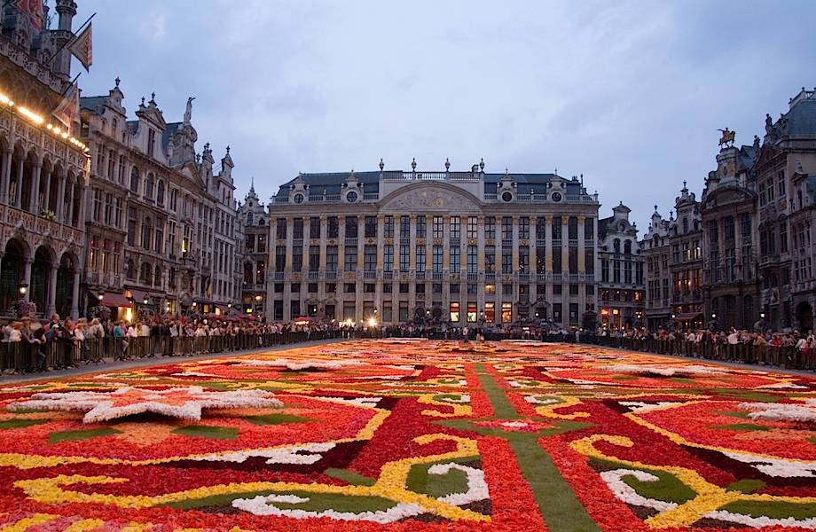 9 интересных фото о том, как каждый год брюссельскую площадь превращают в произведение искусства