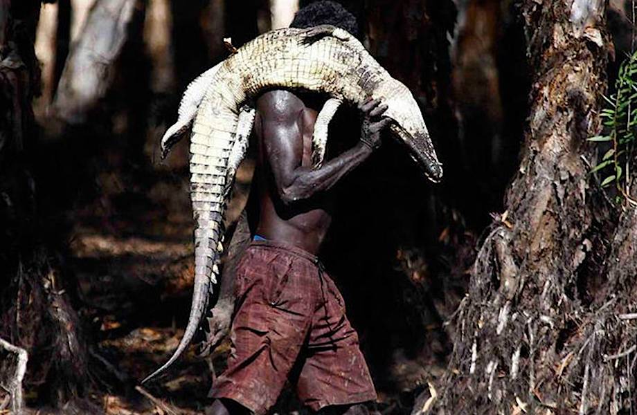 21 сенсационный снимок о жизни племени йолнгу