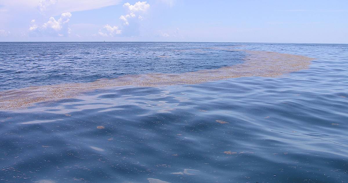 Самое большое море