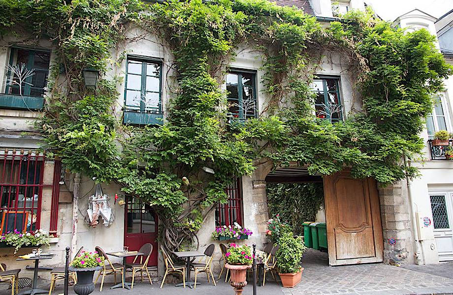 Новый французский закон позволяет любому парижанину разбивать сады в своем доме