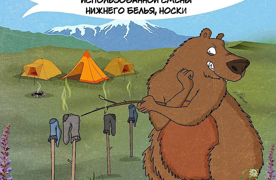 Московский художник нарисовал комикс о правилах поведения с медведями 