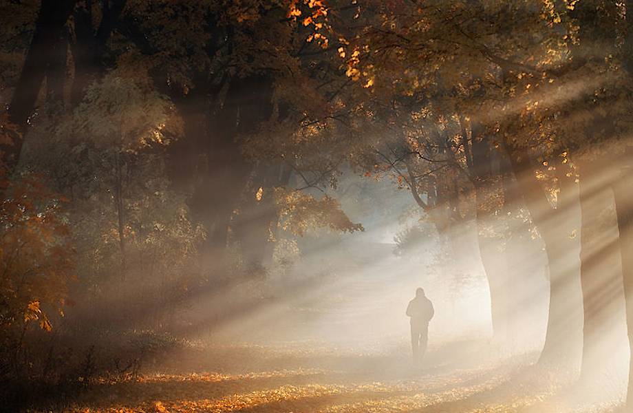 9 волшебных фото из Польши, на которых запечатлена истинная душа осени 