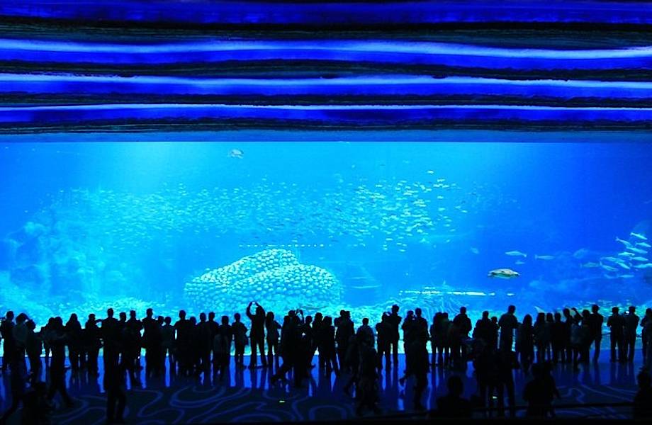 Посмотрите на самый большой аквариум на планете