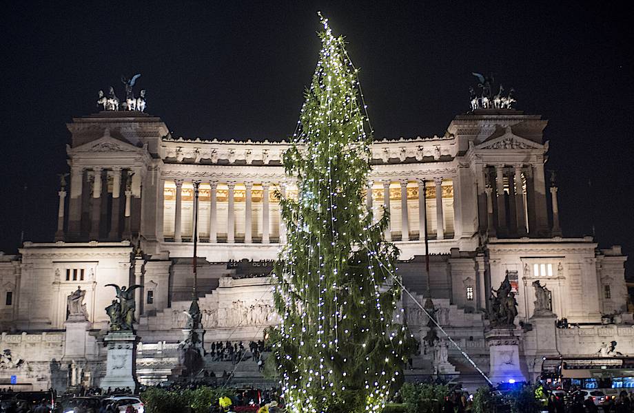 Самую уродливую елку установили в Риме