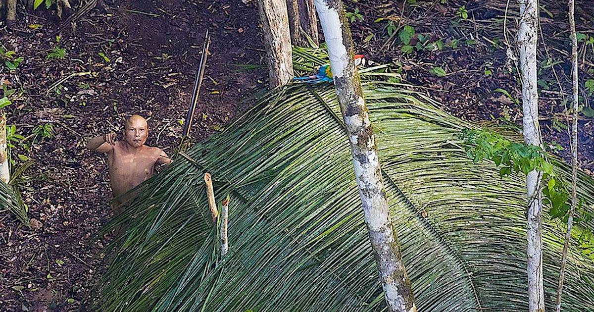 Дикие племена живущих джунглях. Долина джавари бразилия. Папуа новая гвинея каннибалы. Дикие племена живущих джунглях. Дикие джунгли амазонки.