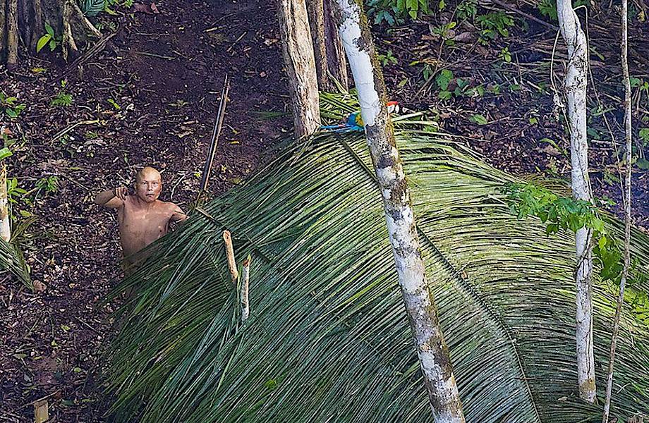 10 редких фото изолированного племени, которое не знает о нас